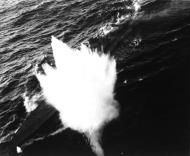 Asisbiz U 185 under attack VC13 aircraft CVE 13 USS Core Aug 24 1943