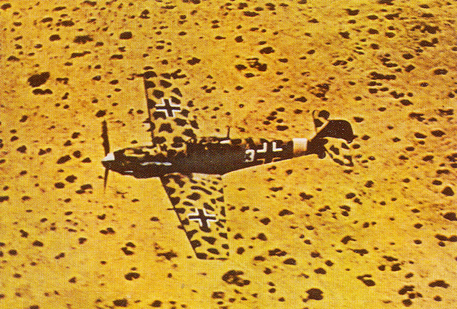 Bf 109E 1.JG27 (W3+) North Africa Feb 1942 02
