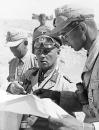5 Erwin Rommel with his aides North Africa 01