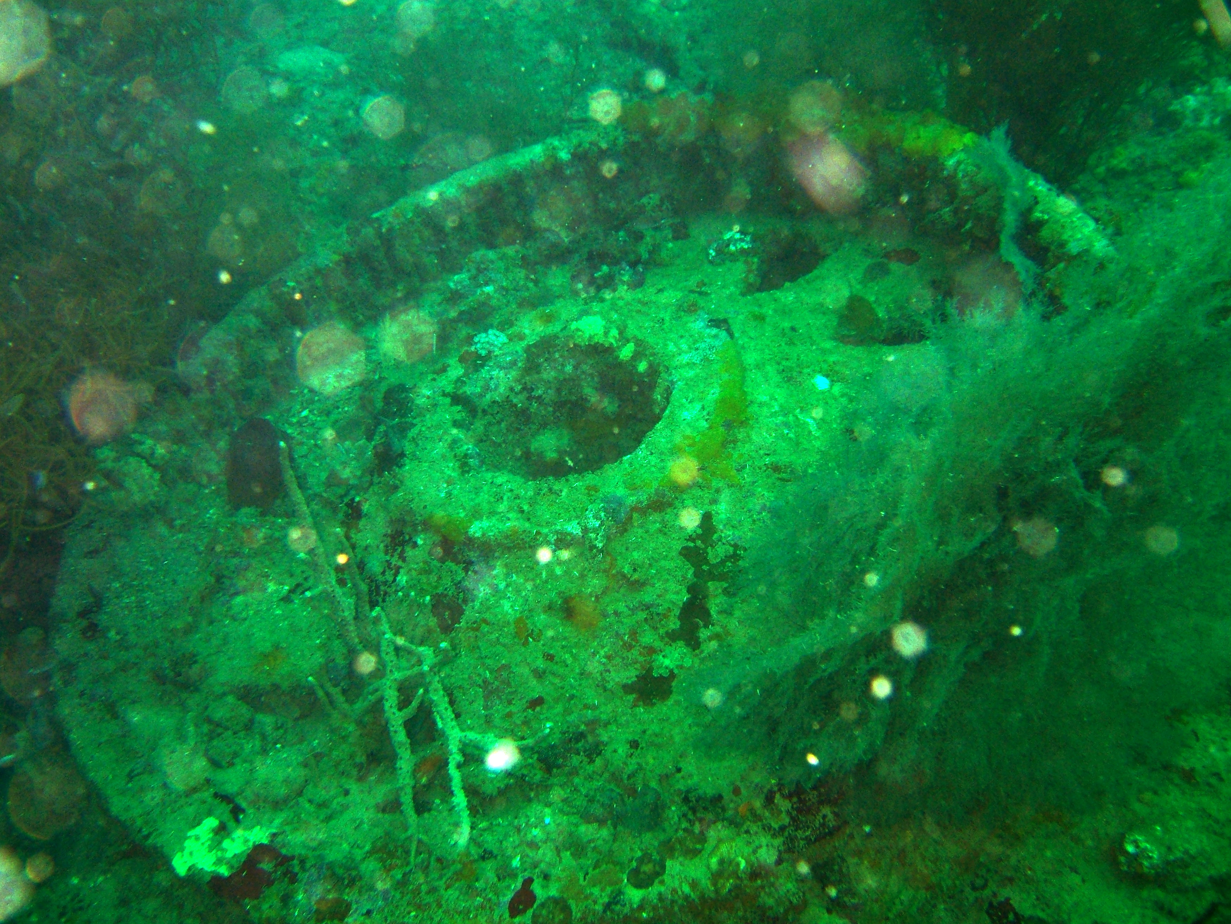 Coron dive site 7 Wreck dive IJN Irako July 2005 01
