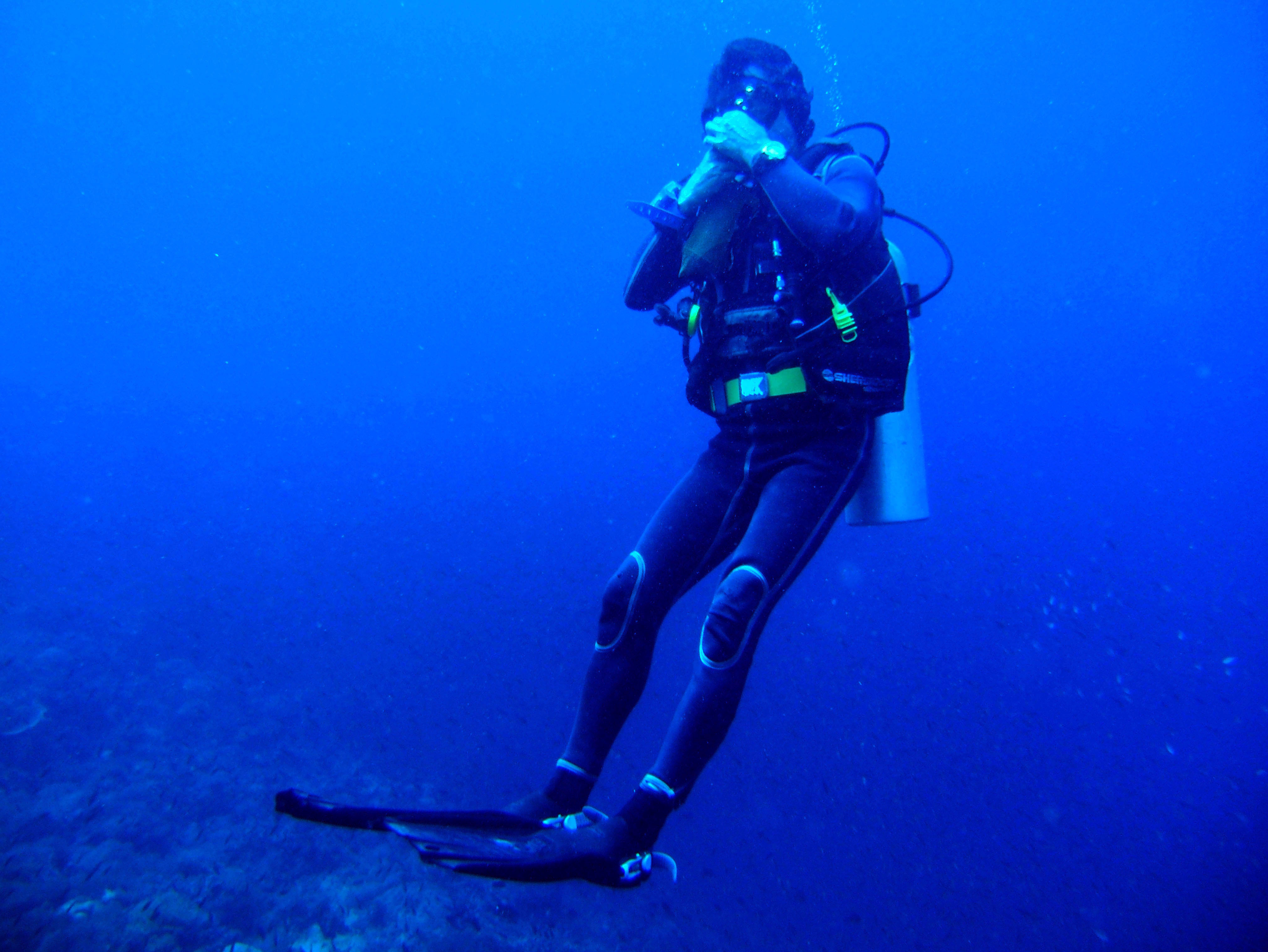 Dive 28 Philippines Mindoro Verdi Island June 2005 01