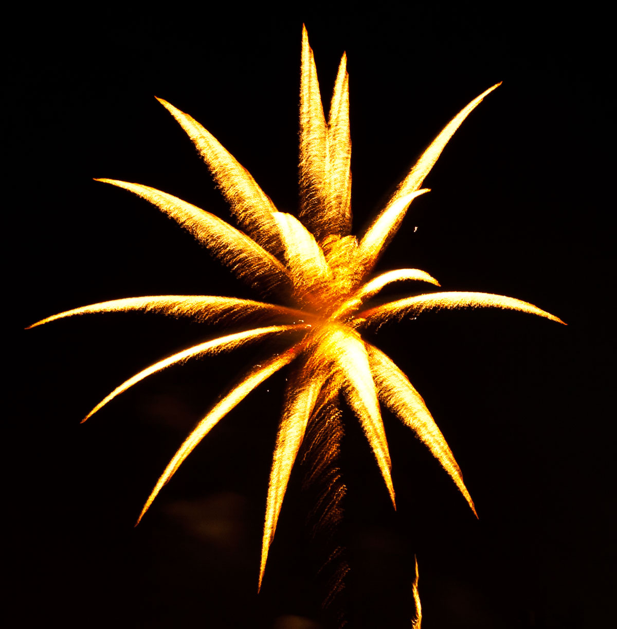 New Year 2011 Fireworks Makati Philippines 011