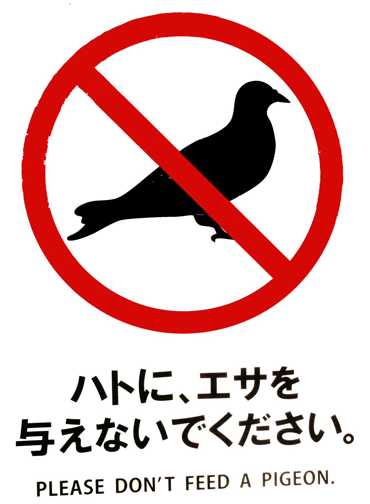 0 Japan sign warning people not to feed the pigeons 0A