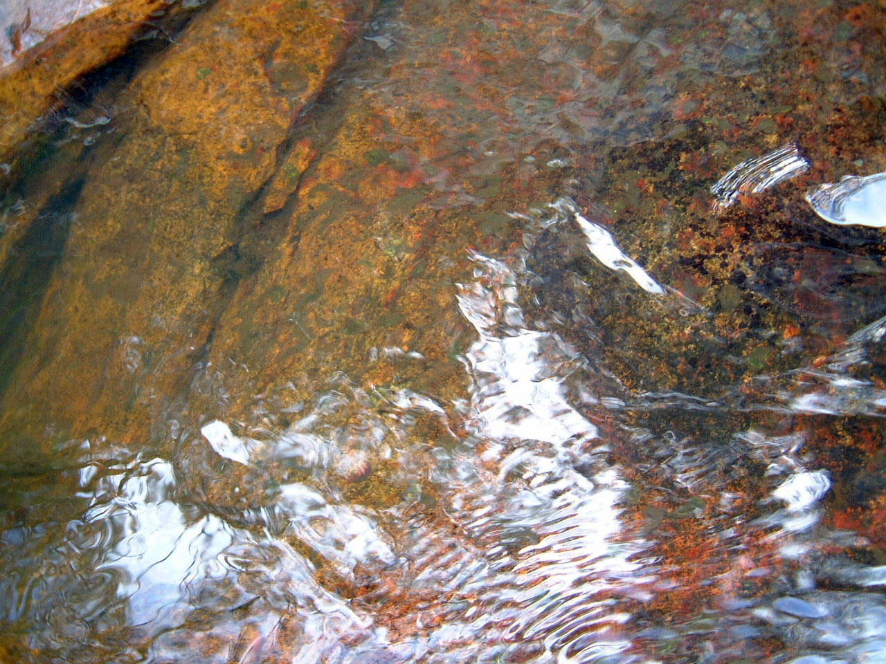 Textures Flowing Water Kondalilla Falls Reflections Nature 01