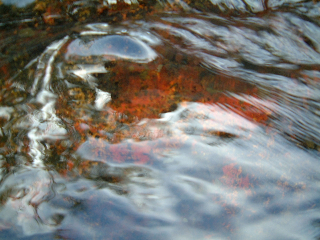 Textures Flowing Water Kondalilla Falls Reflections Nature 02