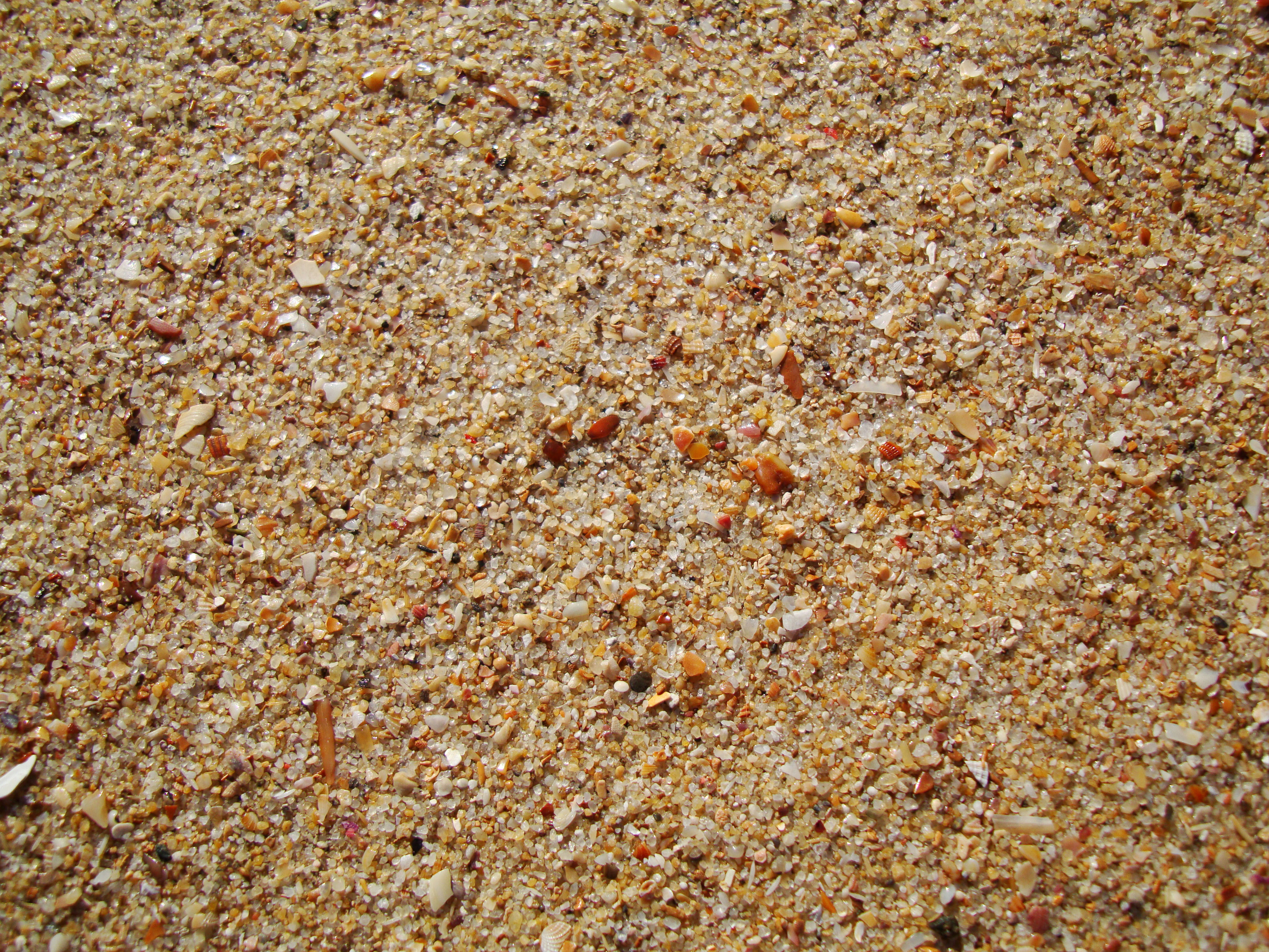 Textures Beach Sand Closeups 02