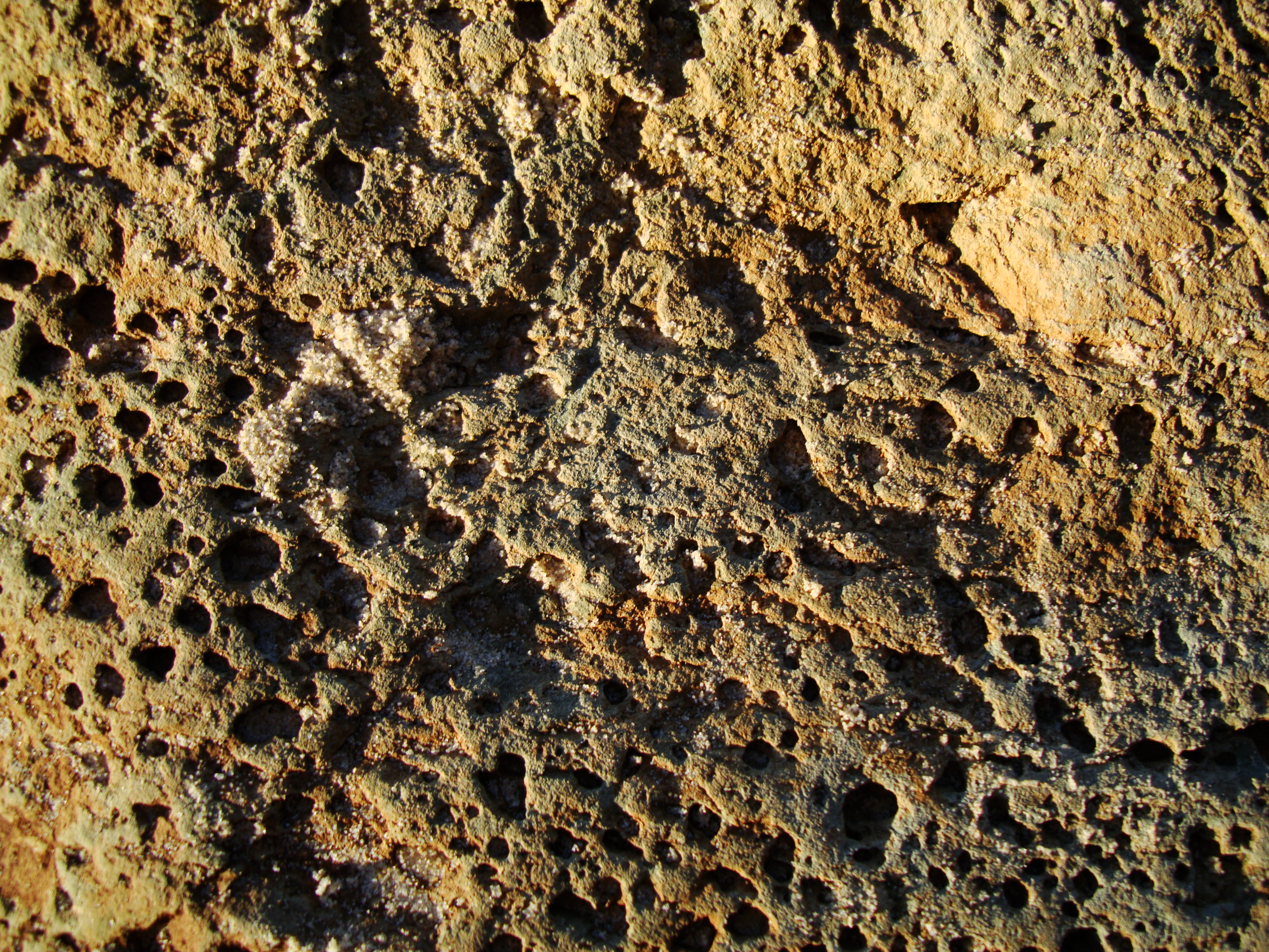 Textures Rocks Stones Pebbles Noosa National Park 17