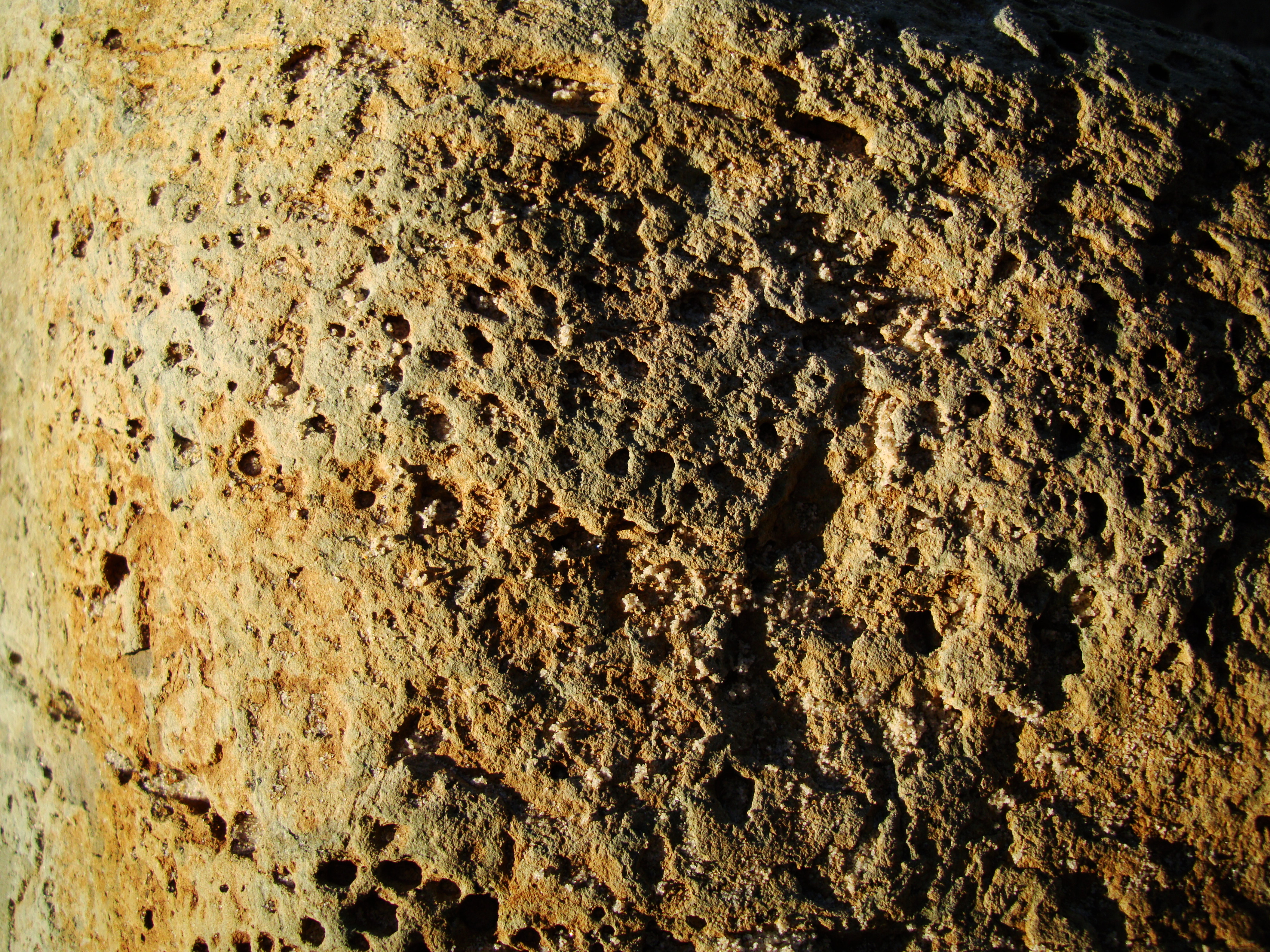 Textures Rocks Stones Pebbles Noosa National Park 18