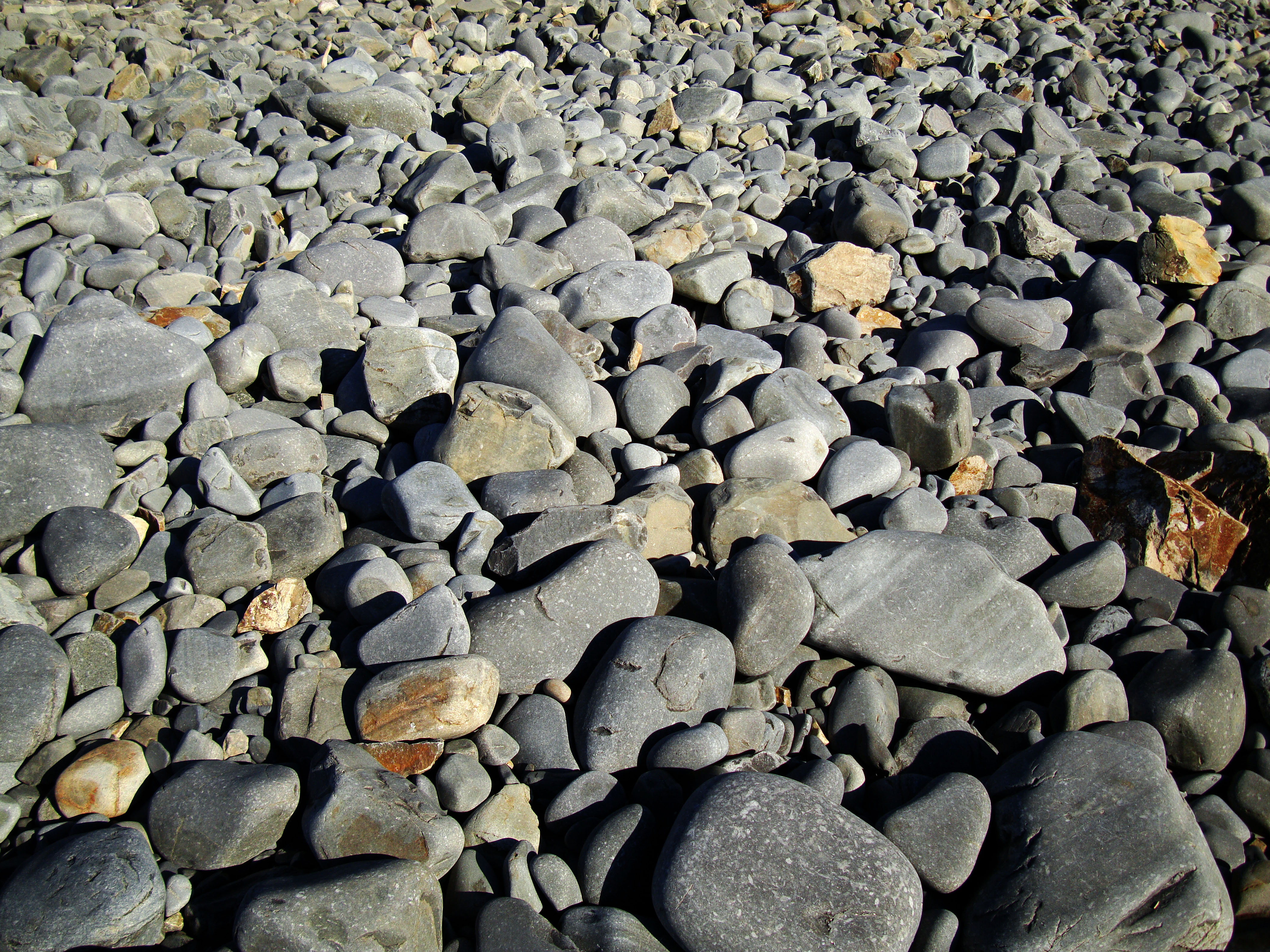 Textures Stones Pebbles Noosa National Park 20