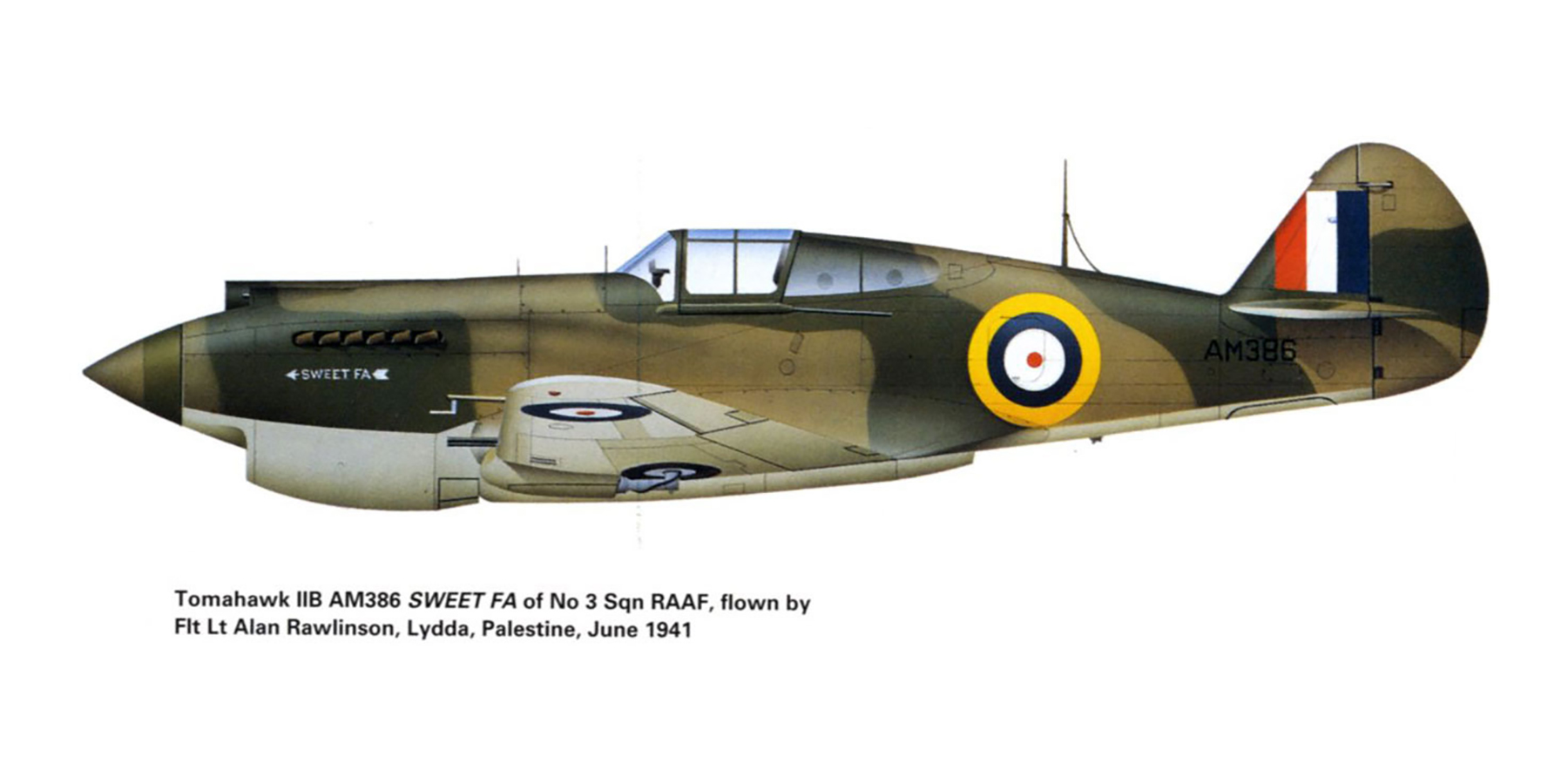 Curtiss Tomahawk IIb RAAF 3Sqn Alan Rawlinson AM386 Palestine 1941 0A