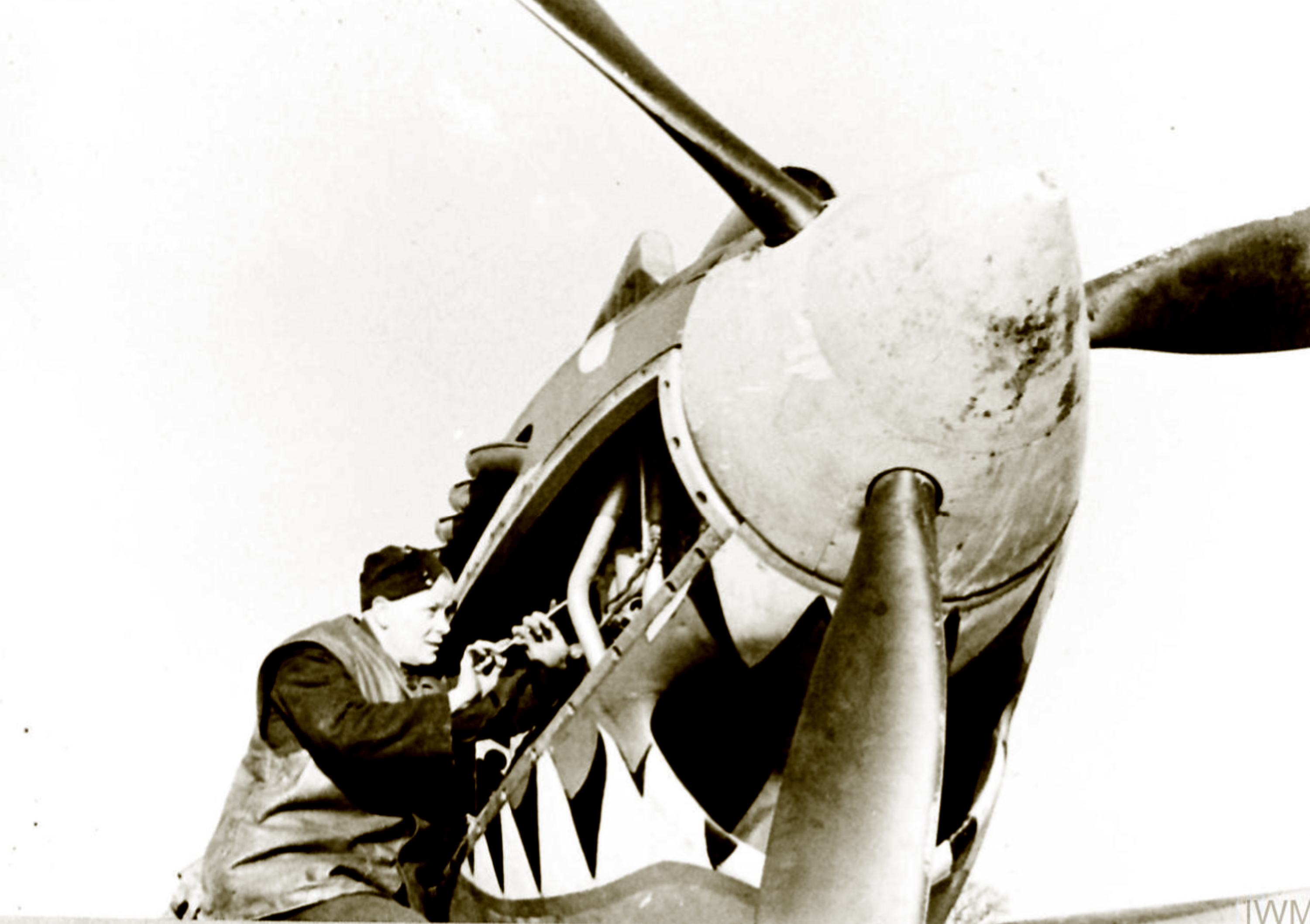 Curtiss Tomahawk IIB RAF 112Sqn under going routine maintenance North Africa 1941 42 IWM CH18750