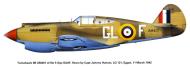 Asisbiz Curtiss Tomahawk SAAF 5Sqn GLF Johnny Human AM401 Egypt 1942 0A