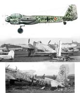 Asisbiz Junkers Ju 88G1 9.NJG3 D5+KT WNr714607 Lake Lubeck Blank Germany spring 1945 01