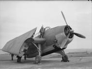 Asisbiz Fleet Air Arm 846NAS Avenger or Tarpon 4L at RNAS Hatston HMS Sparrowhawk 21 23rd Oct 1943 IWM A19925