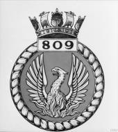 Asisbiz Fleet Air Arm crest of 809 Squadron IWM A31097