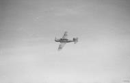 Asisbiz Fleet Air Arm 800NAS Blackburn Skua in flight from HMS Ark Royal 1941 IWM A3788