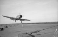 Asisbiz Fleet Air Arm 800NAS Blackburn Skua landing aboard HMS Ark Royal 1941 IWM A3792