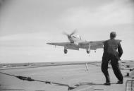 Asisbiz Fleet Air Arm 807NAS Fairey Fulmar landing aboard HMS Ark Royal Apr 1941 IWM A3836