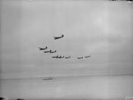 Asisbiz Fleet Air Arm 831NAS Barracudas in formation from HMS Formidable IWM A24779