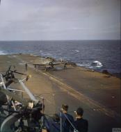 Asisbiz Fleet Air Arm Martlet MkII aboard HMS Formidable North Africa 1942 IWM TR294