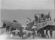 Asisbiz Fleet Air Arm 1770NAS Firefly 4C aboard HMS Indefatigable off Pangkalan Brandan Sumatra 1945 IWM A27167