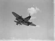 Asisbiz Fleet Air Arm 1770NAS Firefly landing aboard HMS Indefatigable off Pangkalan Brandan Sumatra 1945 IWM A27168