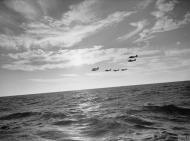 Asisbiz Fleet Air Arm Barracuda carring torpedoes from HMS Implacable Norway 27th Sep 1944 IWM A26172