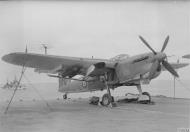 Asisbiz Fleet Air Arm 820NAS Barracuda aboard HMS Indefatigable Aug 1944 IWM A25086