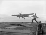 Asisbiz Fleet Air Arm Fairey Barracuda landing aboard HMS Ravager 28th Dec 1943 IWM A21285