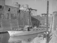 Asisbiz British MTBs with American patrol boats protected the 45 mile coast btn Sezi n Genoa Ligurian Sea IWM A15731