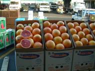 Asisbiz Brisbane Markets Sherwood Road Rocklea Qld 4106 citrus I01