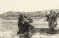 Asisbiz The German 11th Army captured many Russian POWs the during fall of Sevastopol 1942 ebay 01