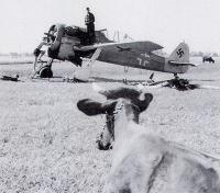 Focke Wulf Fw 190A under repair France 1942 01
