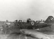 Asisbiz Polish Airforce PZL 23A Karas White 8 belly landed Poland Sep 1939 eBay 01