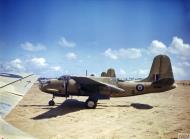 Asisbiz British Boston SAAF 24Sqn V AL683 lined up at Zuara Tripolitania 1943 IWM TR838