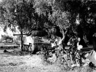 Asisbiz British Sherman tank 3rd London Yeomanry sits concealed outside Misterbianco Cantania Sicily 1943 NAM197503631442