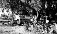 Asisbiz British Sherman tank 3rd London Yeomanry sits concealed outside Misterbianco Cantania Sicily 1943 NAM197503631442L