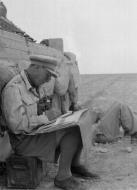 Asisbiz Chris Wrey 3rd County of London Yeomanry (Sharpshooters) North Africa 1942 NAM197503637103