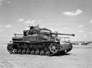 Asisbiz German Afrika Korps Knocked out Panzer Mark IV tank 1943 NAM1984071532