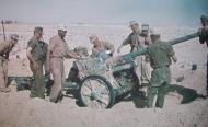 Asisbiz German DAK Infranty PaK 38 anti tank crew preparing their defences during the North African campaign 1942 01