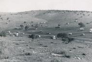 Asisbiz German armor DAK Afrika Korps advancing into Libya photo series from ebay 02