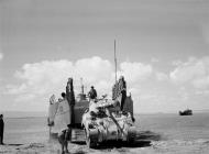Asisbiz Invasion training loading Shermans Egypt 1943 NAM197503631093