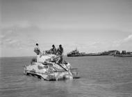 Asisbiz Invasion training loading Shermans Egypt 1943 NAM197503631095