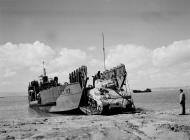 Asisbiz Invasion training loading Shermans Egypt 1943 NAM197503631099