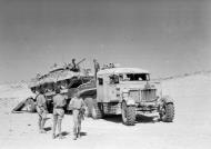 Asisbiz Scammell transporter carrying a Crusader tank Egypt 1943 NAM19750363831