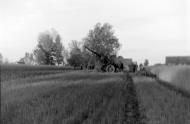 Asisbiz Guderian Panzergruppe 2 artillery position firing on Soviet troop positions in Russia eBay 00