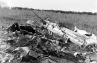Asisbiz Panzer Artillery Regiment 41 photo showing the remains of a crashed IL 2 Sturmovik Russia eBay 01