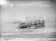 Asisbiz Damaged American Assault SS Ship Thomase Stone in Algiers harbour operation Torch 1942 IWM A12750