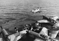 Asisbiz P 40 Warhawk takes off from USS Chenango (CVE 28) for operations over Morocco 10th Nov 1942 80 G 30512