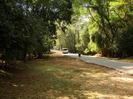 Asisbiz Angkor Wat style architecture North Gate Jan 2010 13
